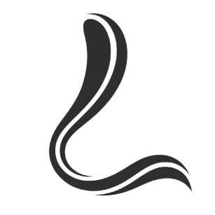 Lucanu